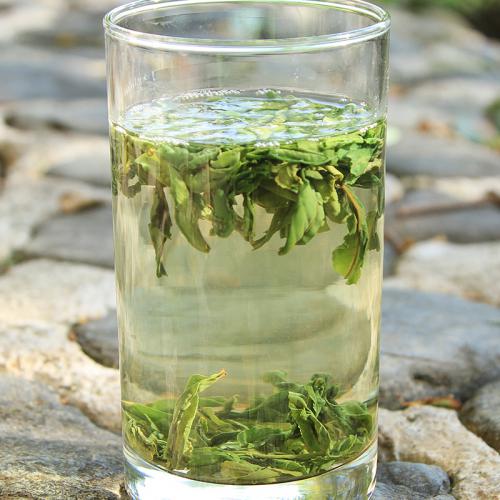 多喝绿茶有防癌作用