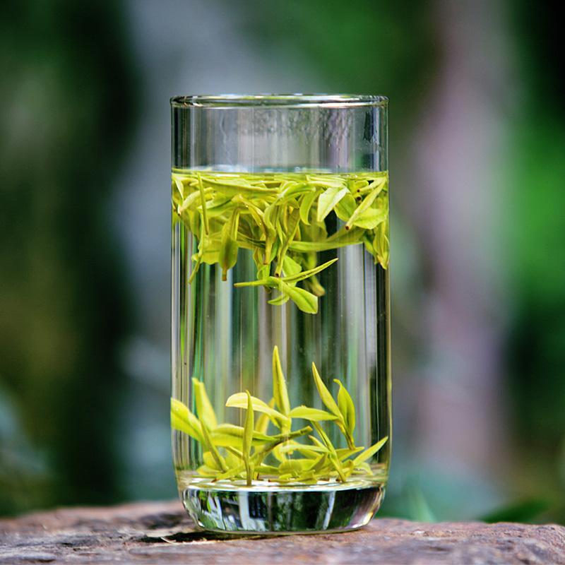 安吉白茶属于绿茶