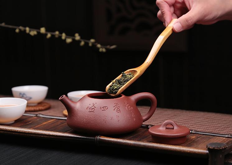 为什么一把紫砂壶最好泡一种茶